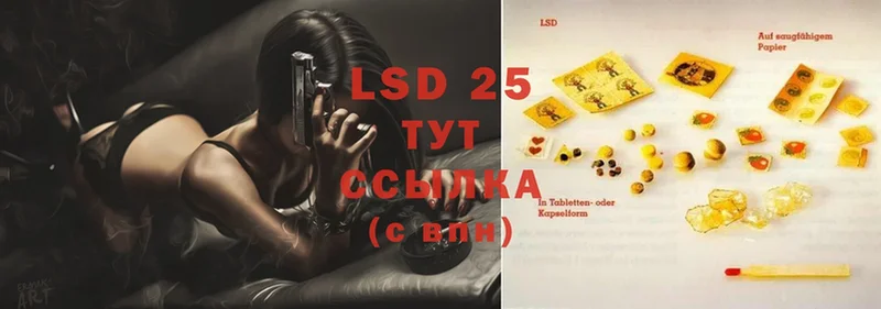 даркнет официальный сайт  Зерноград  LSD-25 экстази ecstasy  купить наркотик 